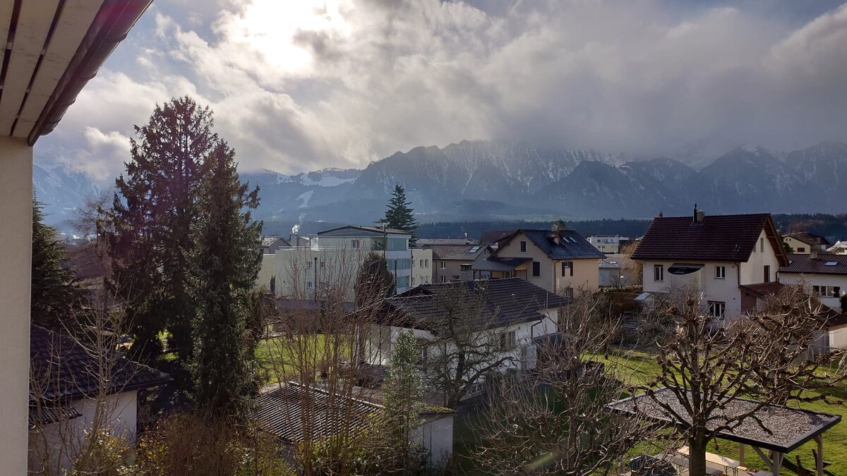 Swiss - Владимир Нечаев