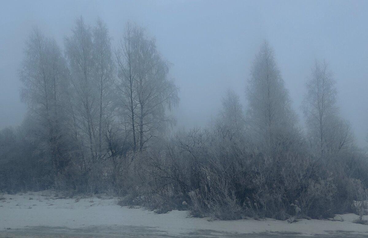 Туман - Андрей Андросов