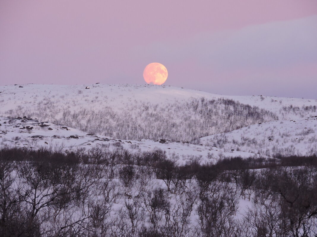 Лунный пейзаж - Мария Васильева