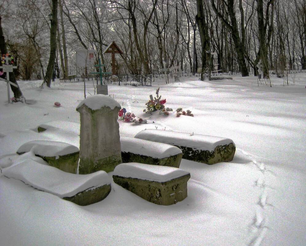 Долгая память. - Борис Бутцев