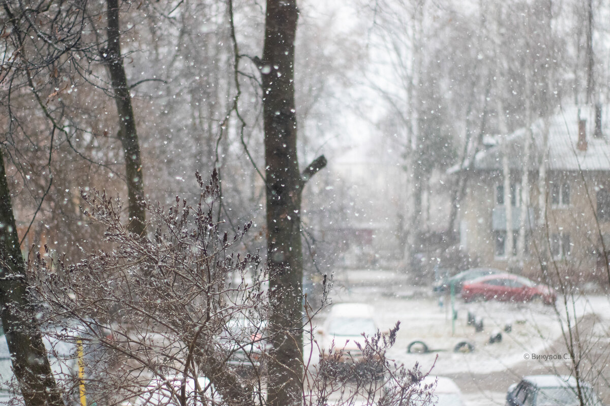 Снег идёт - Sergei Vikulov