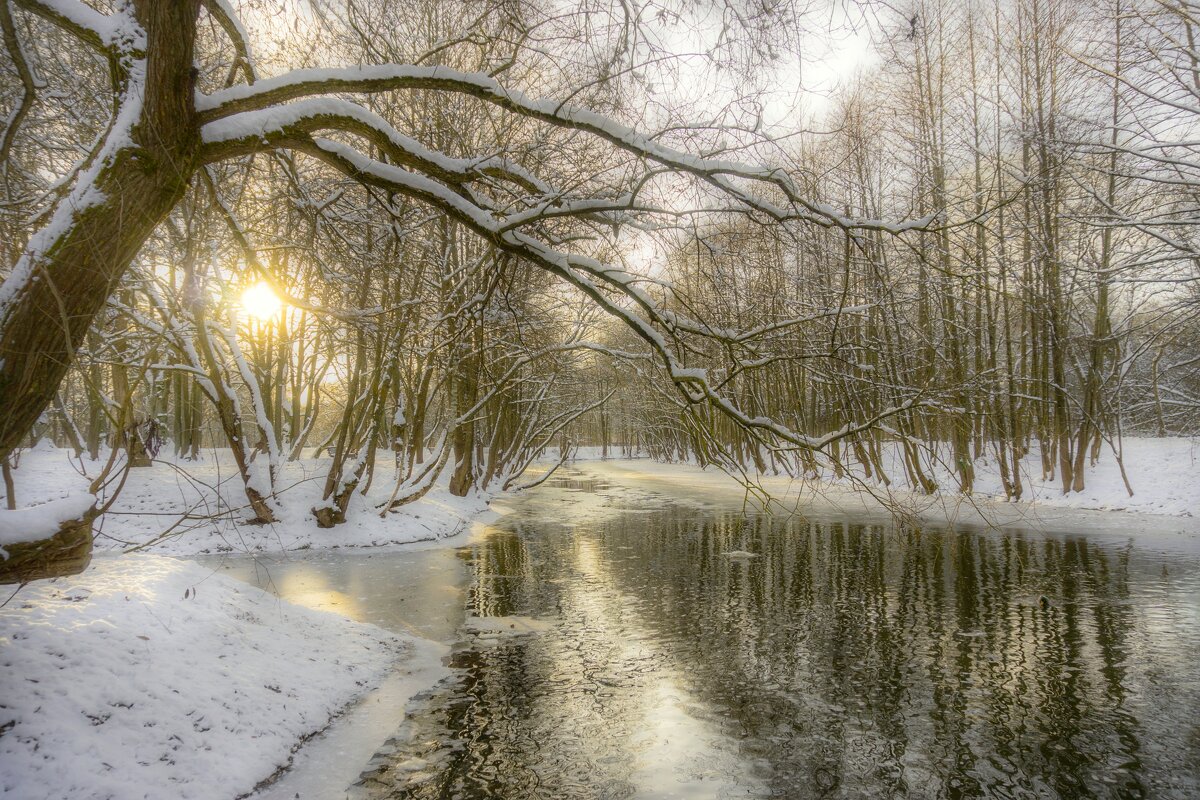 Красоты зимнего утра - Alena Pasazhytskaya