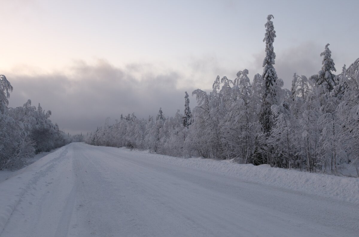 Зимняя дорога - Ольга 
