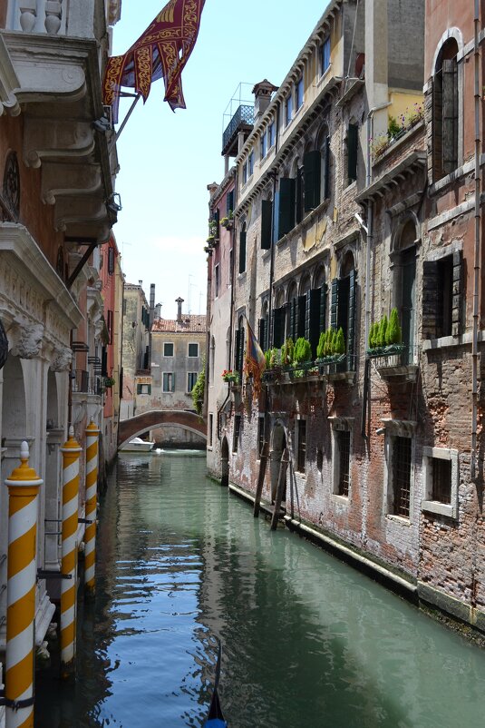 На каналах Венеции - Ольга 