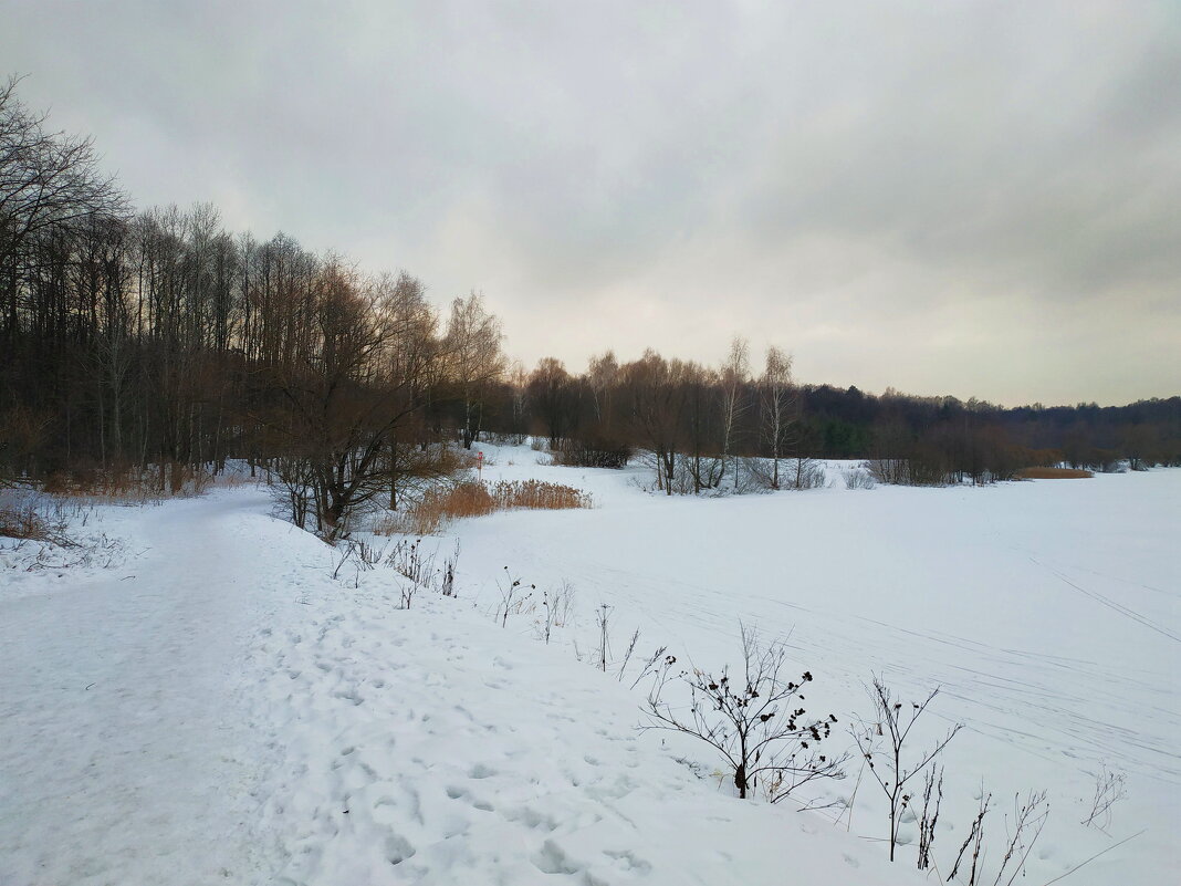 Не самая цветная часть зимы - Андрей Лукьянов