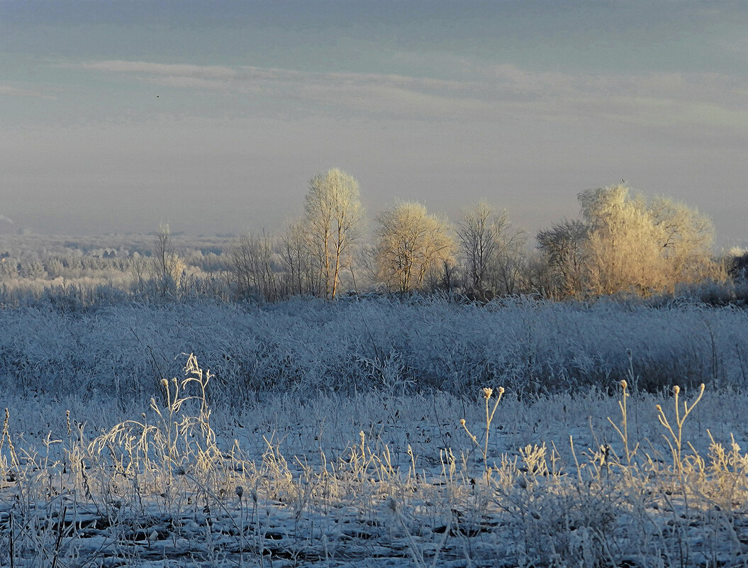 *** - Лера 