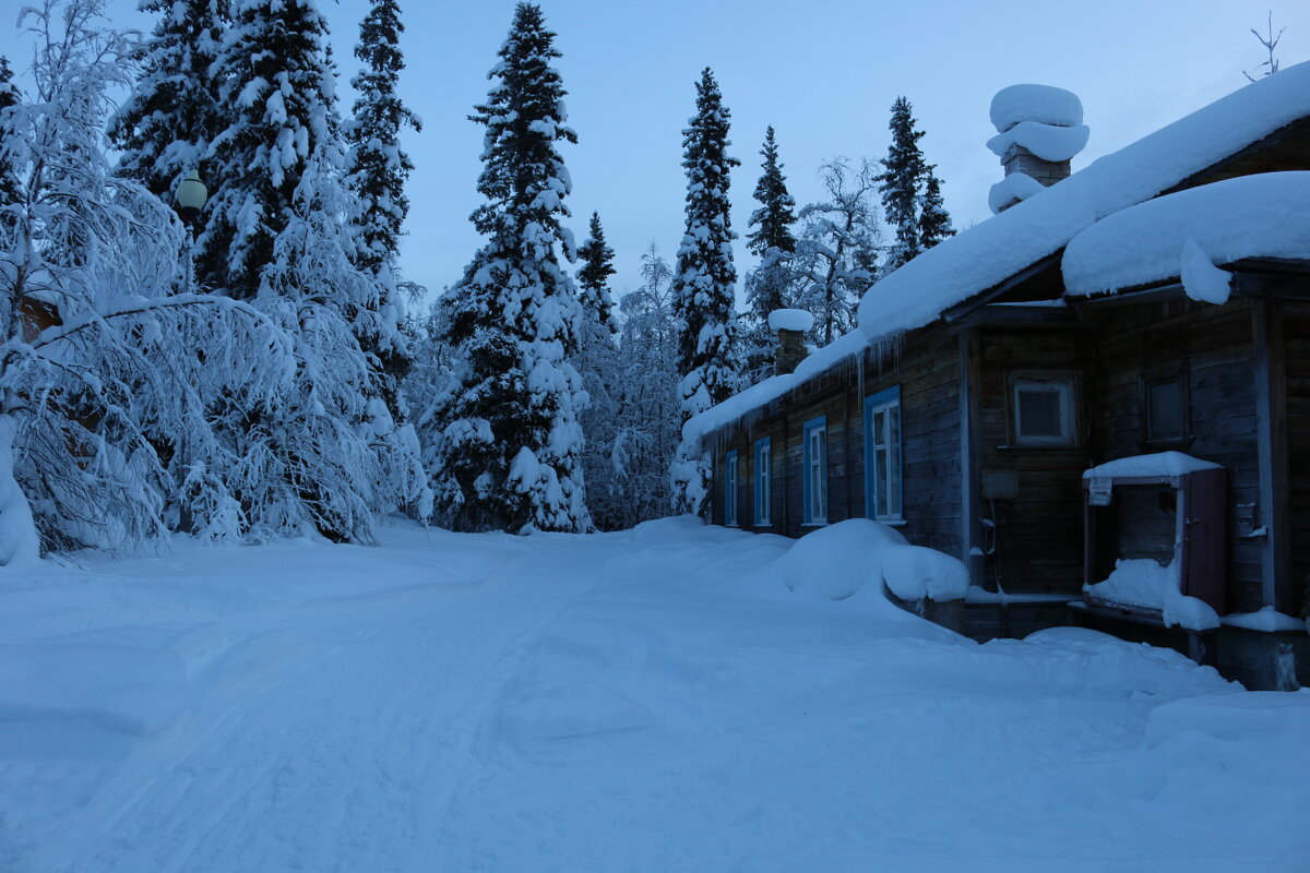 Зима в Лапландском заповеднике - Ольга 