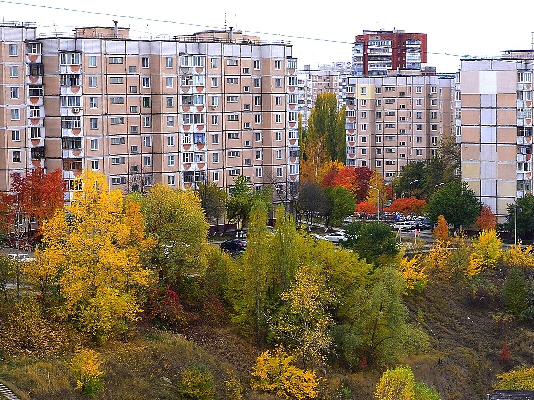 палитра осени - Сеня Белгородский