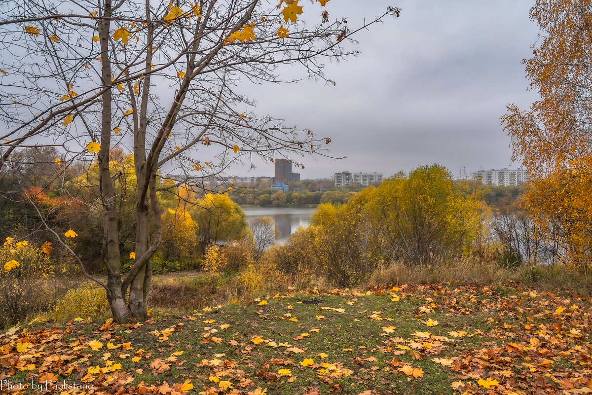 осенний владимир фото