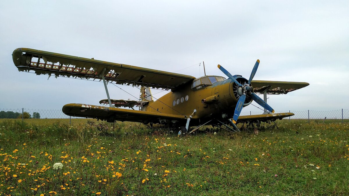 Ан-2 - Олег Денисов