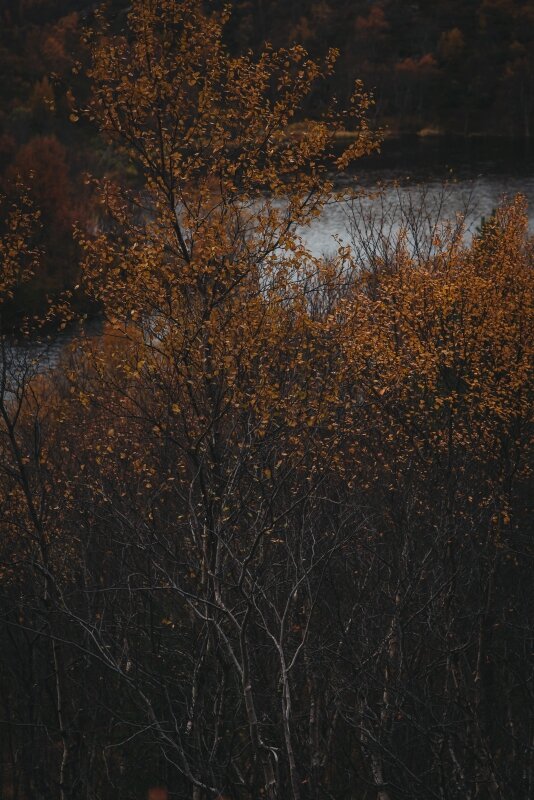 Осенний день на озере Сорока - Сергей Семенков