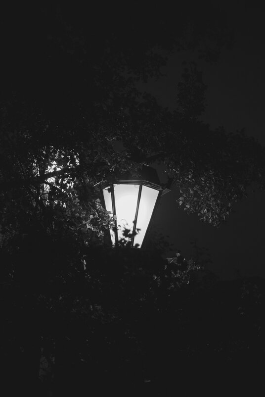 Ночной фонарь - Данил Матвеев