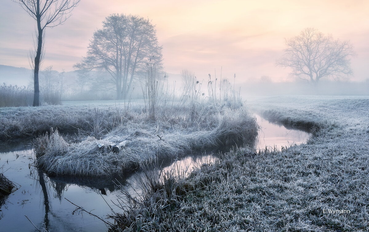 winter morning - Elena Wymann