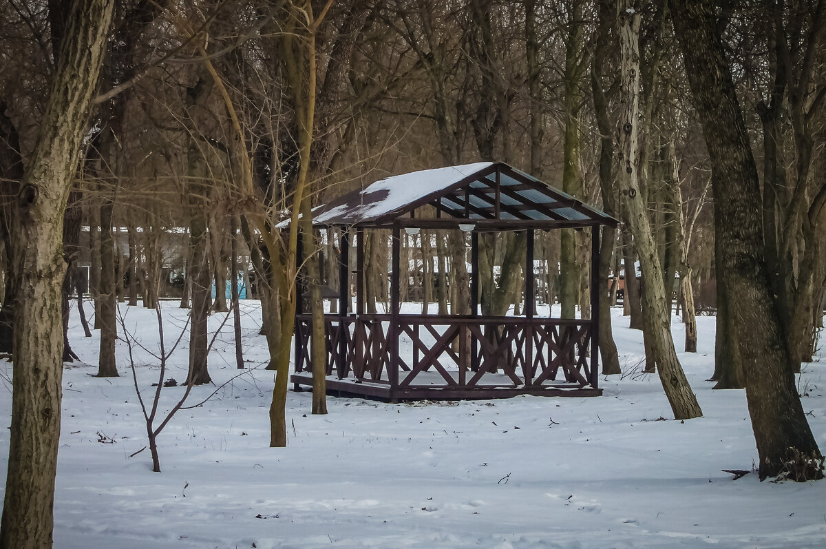 Беседка в парке - Игорь Протасов