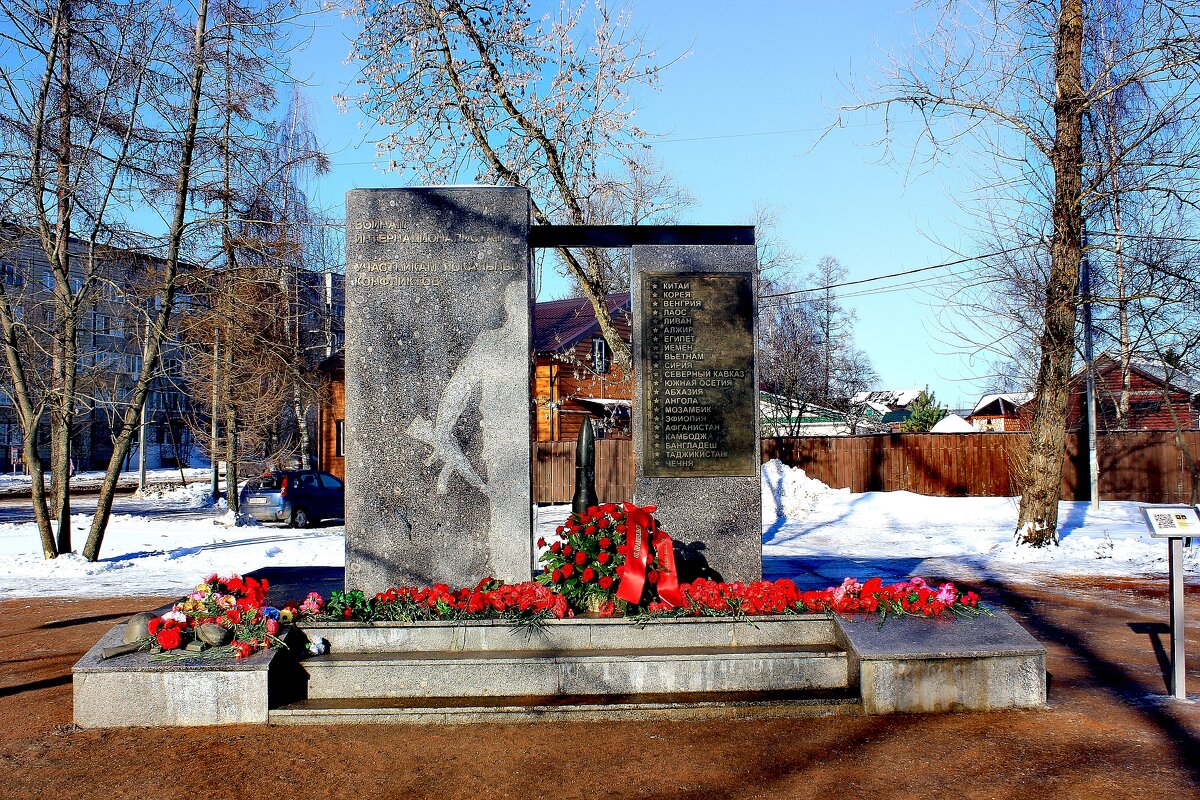 15 февраля - День памяти воинов - интернационалистов - Сергей Кочнев