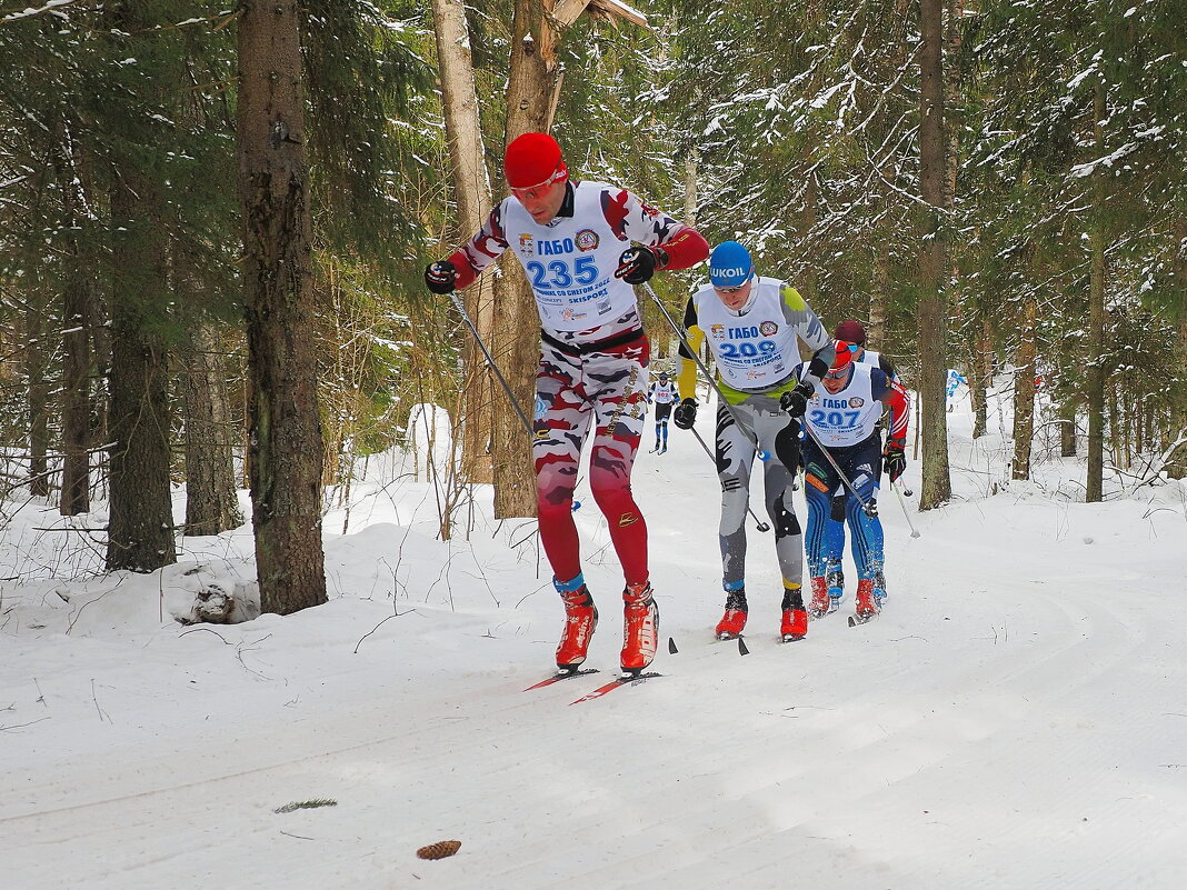 Про лыжные гонки - Евгений Седов
