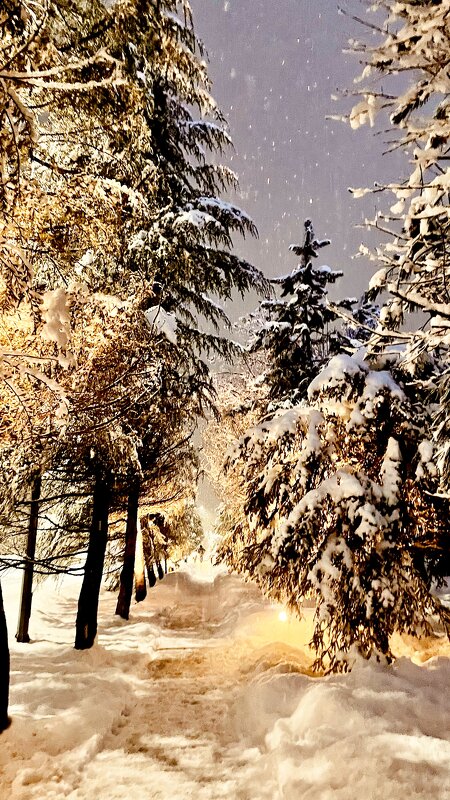 «Снежность. Прогулка в сумерках» - Арина Невская