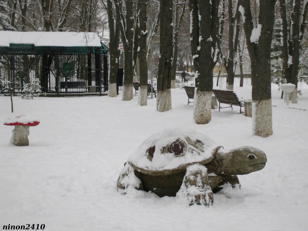В зимнем парке - Нина Бутко