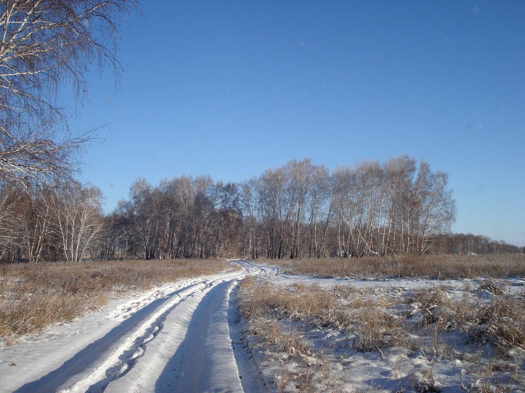 Зимняя дорога - Татьяна Тюменка