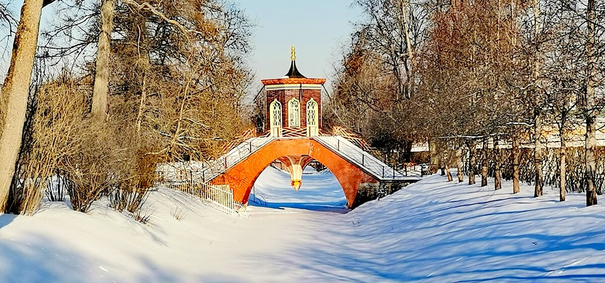 В парке зимой - Крестовый мост - Сергей 