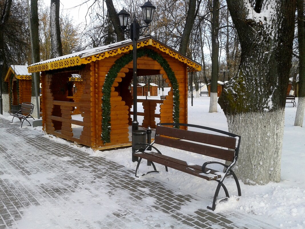 в парке зимой - Владимир 