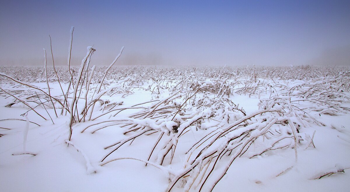 Зимний пейзаж - Олег Денисов