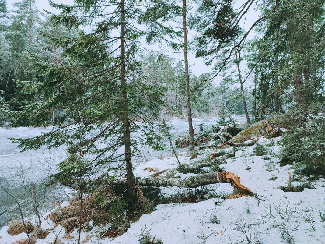 Последний день скандинавской зимы :) Швеция Скандинавия - wea *