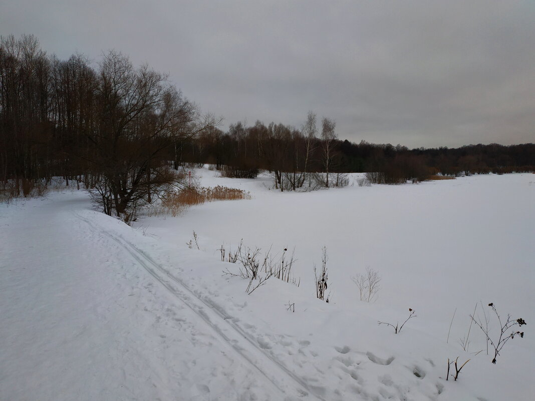 Последний день календарной зимы в Измайловском парке - Андрей Лукьянов