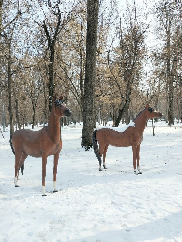 Almaty. - Murat Bukaev 