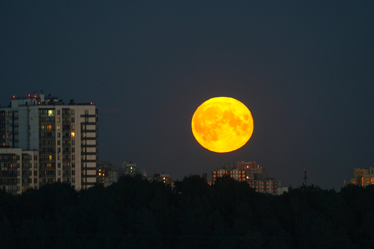 Луна на Просвещении - Алексей Радченко
