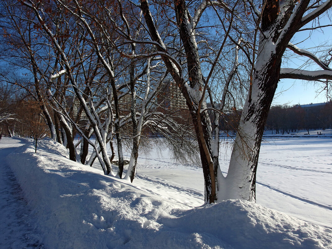 Зима в городе - Игорь Белоногов