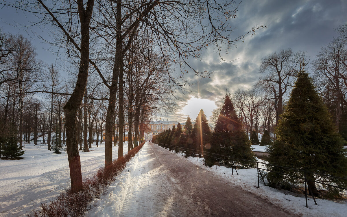 В зимнем парке... - Сергей Кичигин