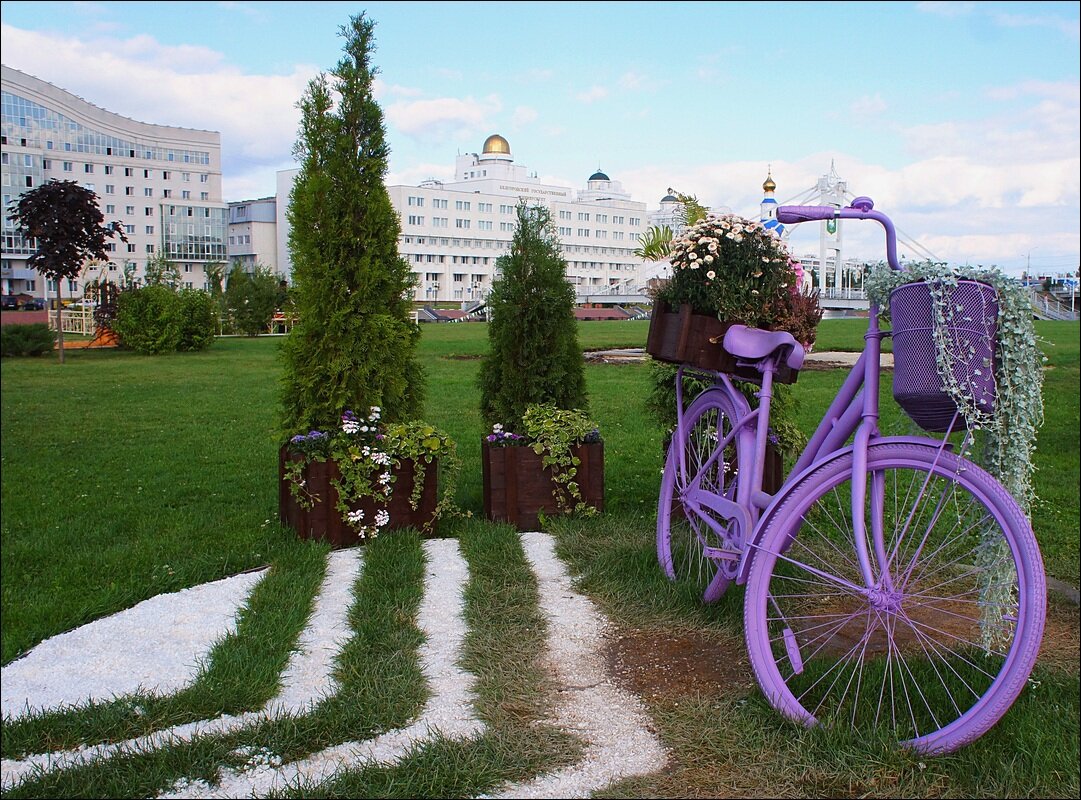 Логотип СБЕРа - Сеня Белгородский