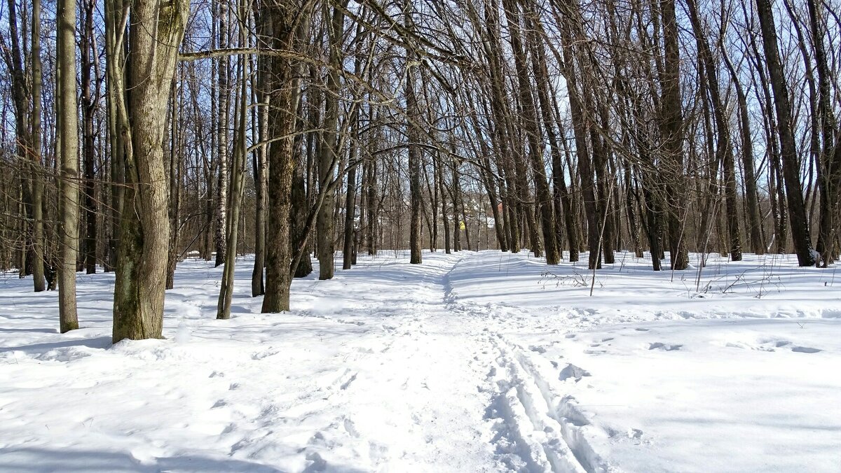 Весна в городском парке. - Милешкин Владимир Алексеевич 