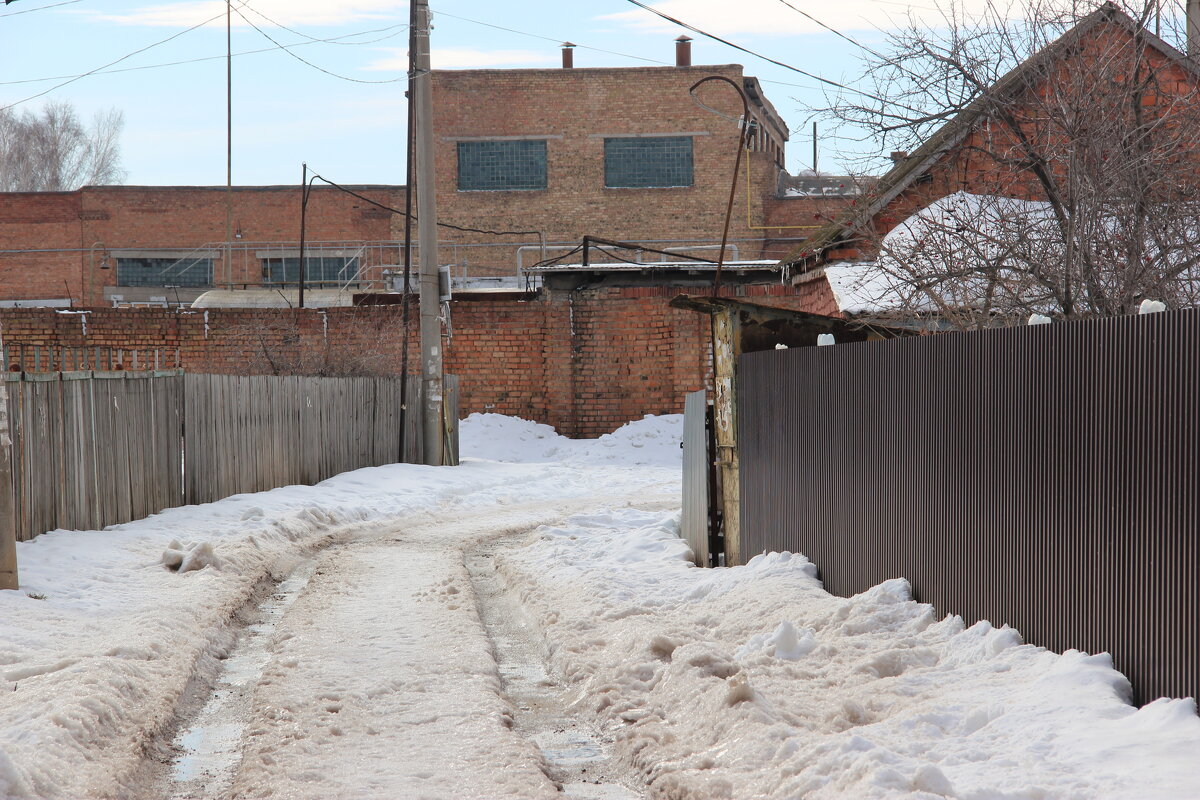 За городом. - Венера Чуйкова