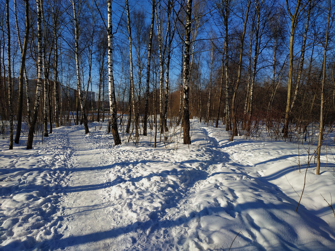 Картинка конец зимы