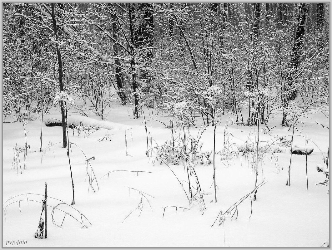 После снегопада - Владимир Попов