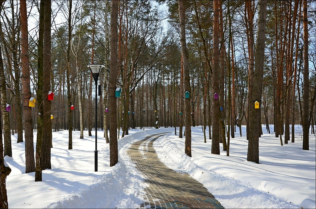 ул. Синичкина - Сеня Белгородский