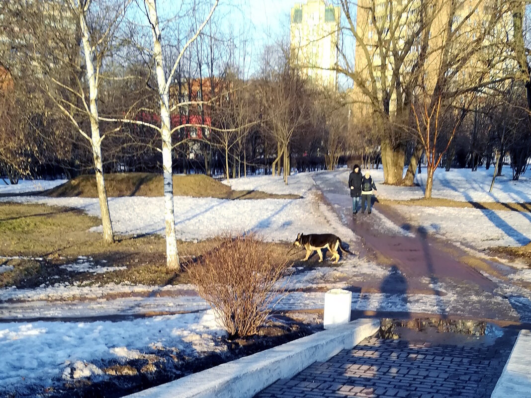 Мартовские зарисовки - Ольга Довженко