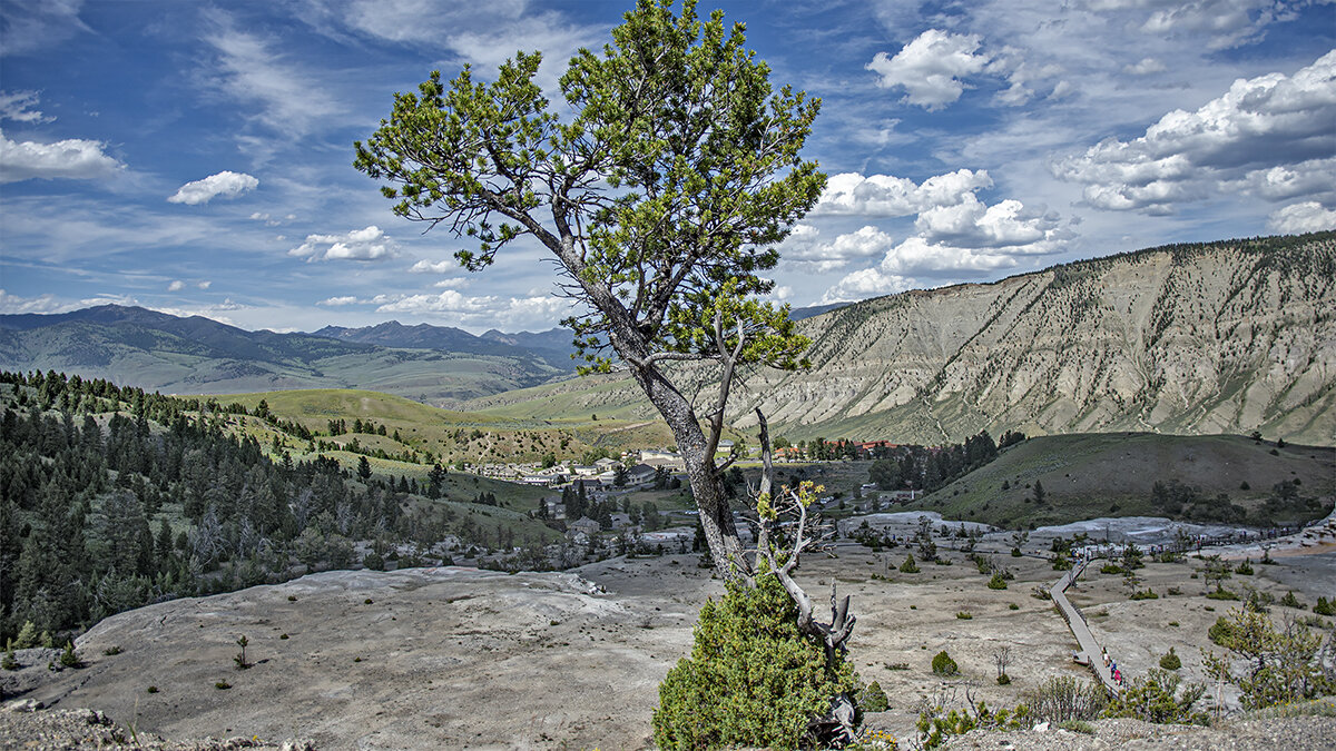 Mammoth Hot Springs - Petr @+