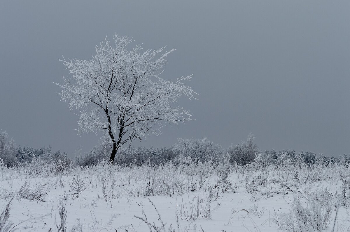 Зима. - Андрей Андрианов