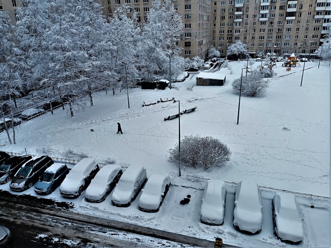 /// - Виктор Никитенко