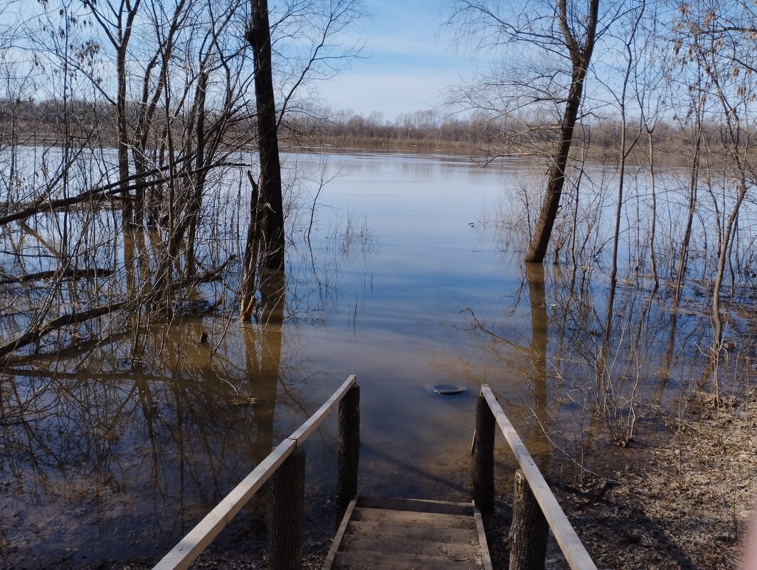 Весенний разлив реки - Павел Петров