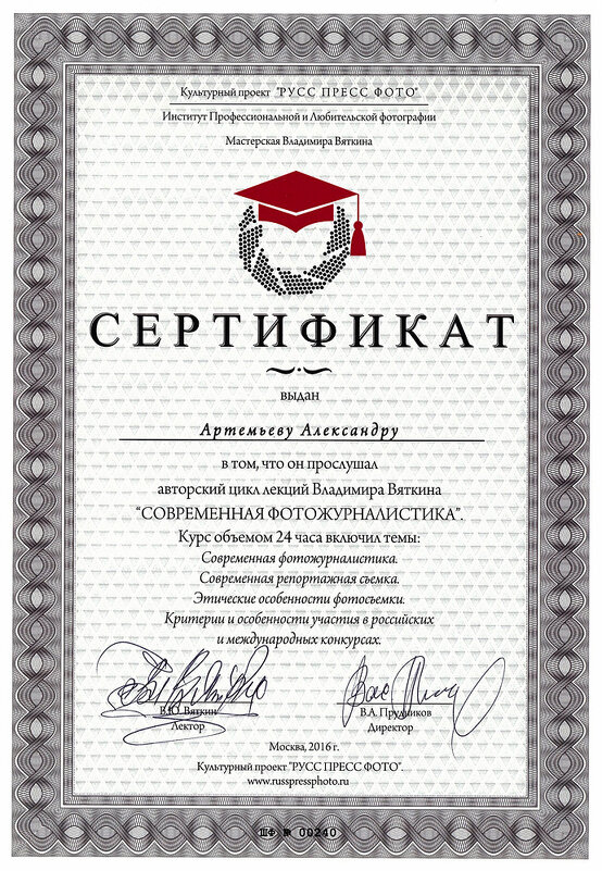 Сертификат - Александр Артемьев