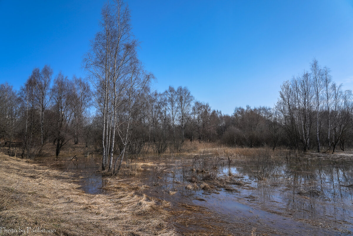 Апрельские воды... - Владимир Жданов