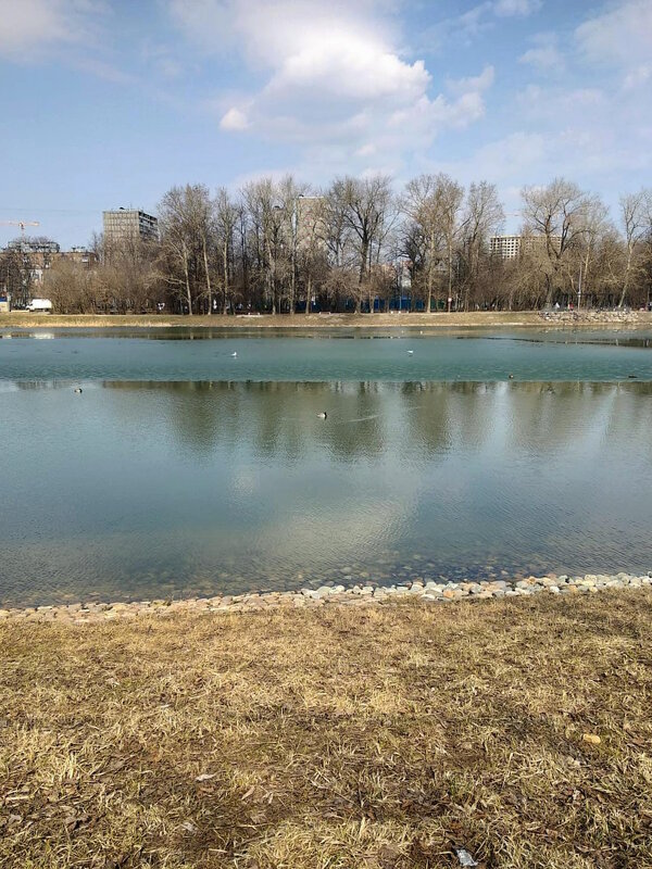 Большой пруд в Перово - Ольга Довженко