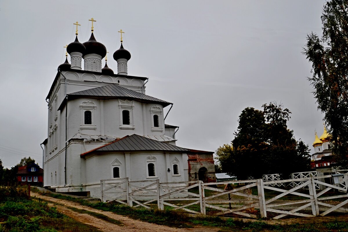 ГОРОХОВЕЦ, по дороге в город. - Виктор Осипчук