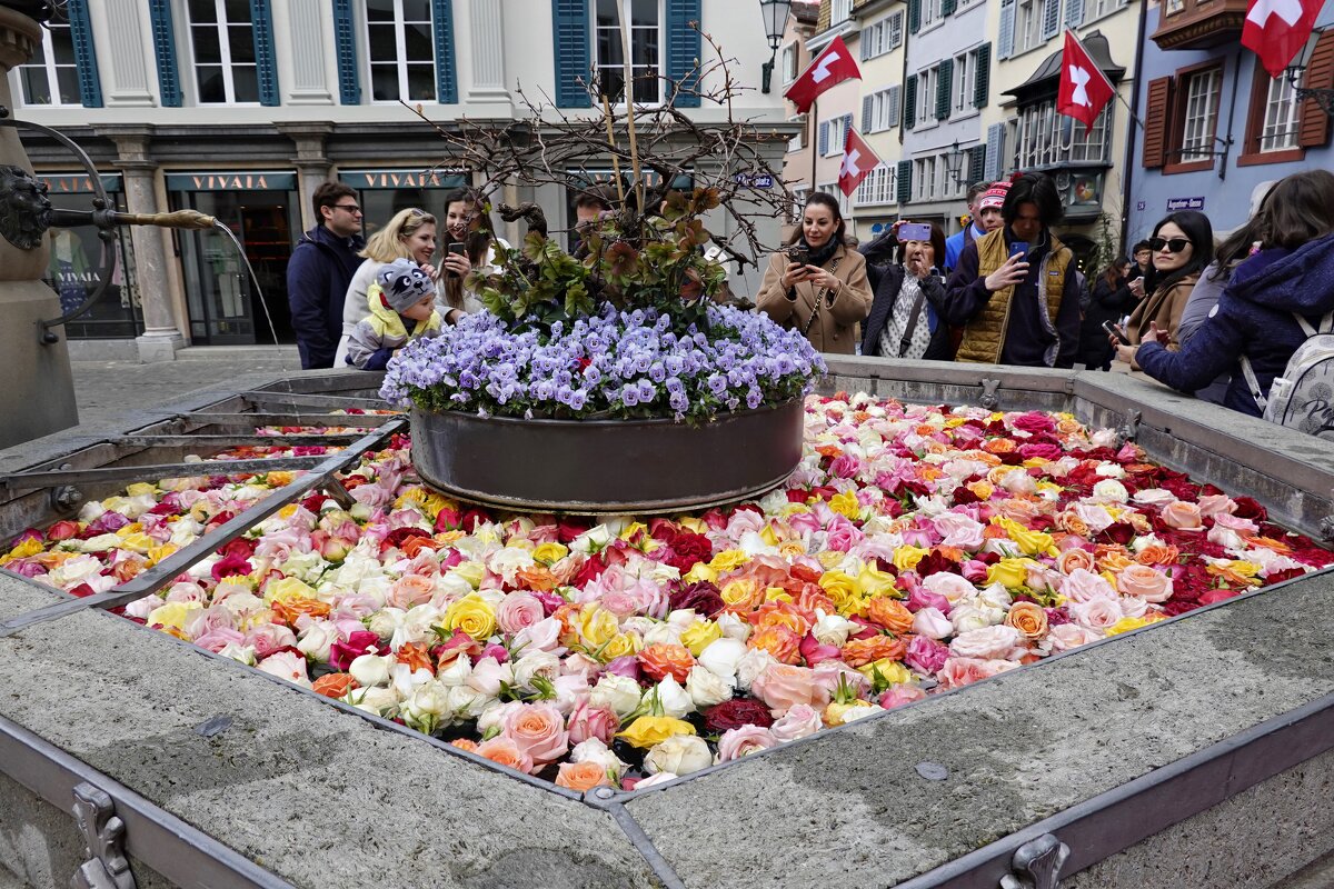 Пасхальные розы в фонтанах Цюриха Швейцария - Galina Dzubina