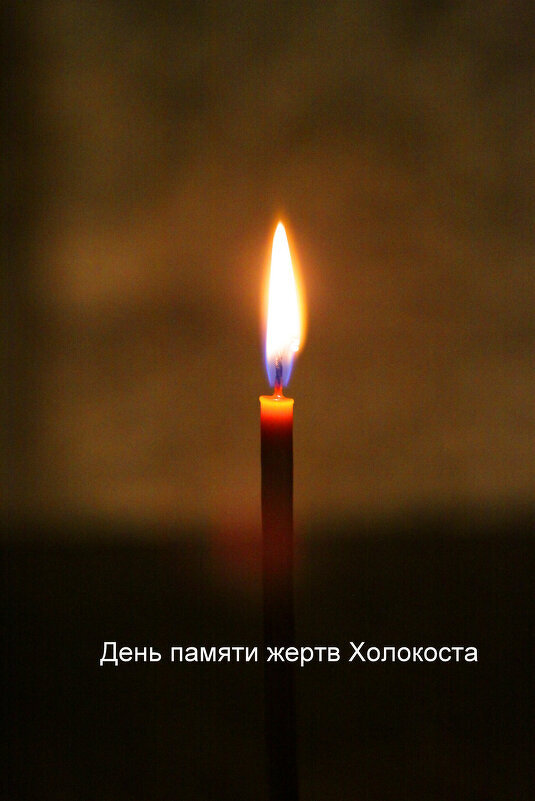 День памяти жертв Холокоста. - Светлана Хращевская