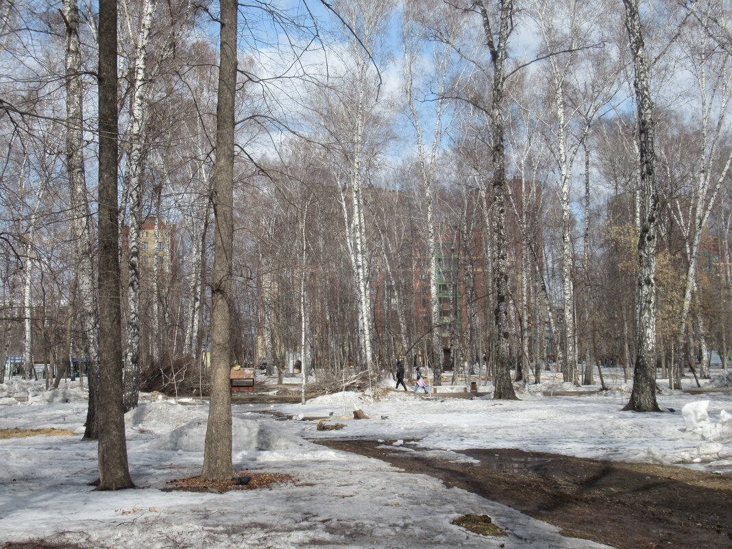 Весна в парке - Андрей Макурин